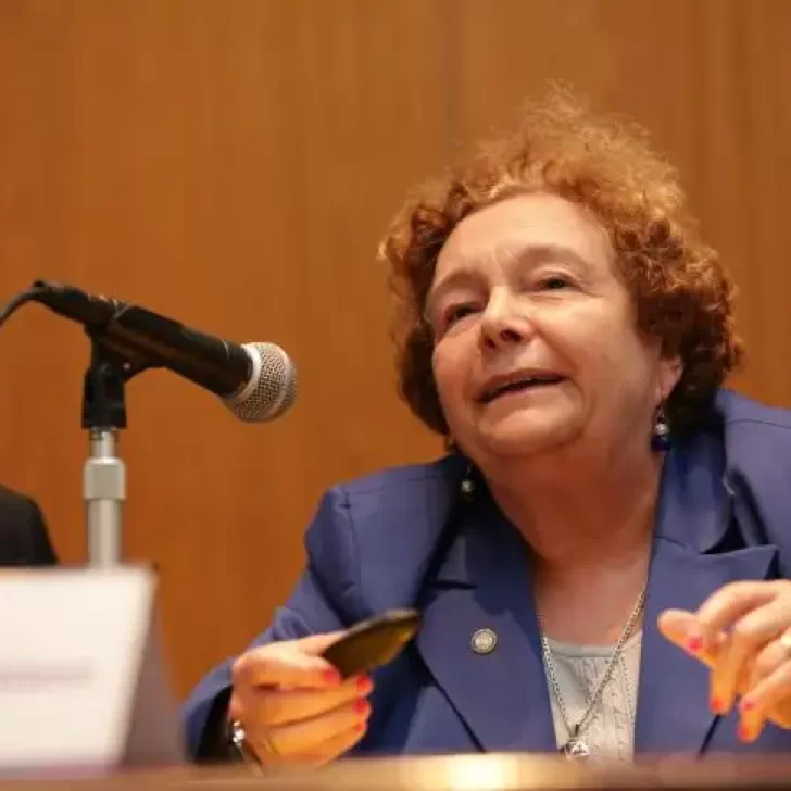 Fuerte rechazo del Consejo Federal de Defensores al proyecto que elimina la Defensa Pública en Santa Cruz