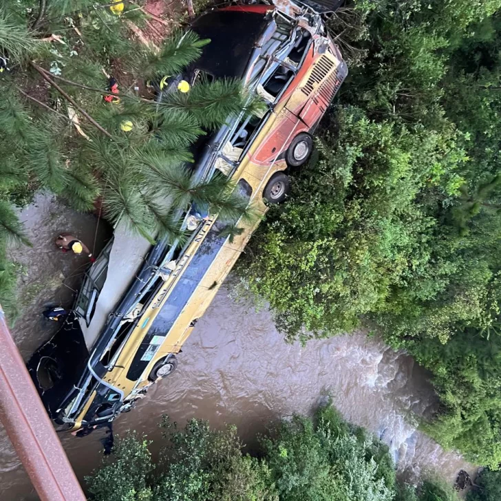 Tragedia en Misiones: un micro cayó a un arroyo tras chocar con un auto: al menos 7 muertos Tragedia en Misiones: un micro cayó a un arroyo tras chocar con un auto: al menos 7 muertos