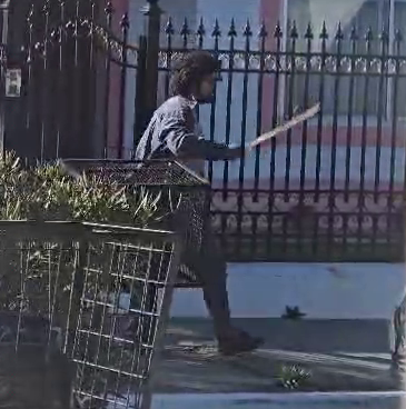 Video. Tensión en Puerto Deseado: la policía redujo a un hombre armado con un machete