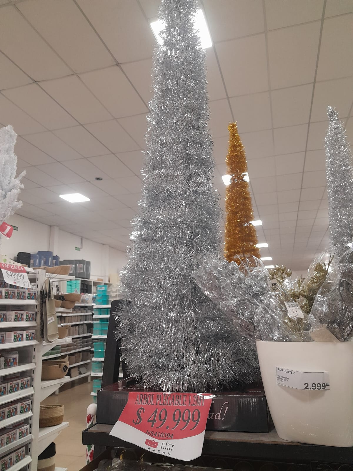  En Caleta Olivia, la variedad es amplia y los precios dependen del tamaño y el tipo de árbol. En los comercios locales, los más pequeños pueden encontrarse desde 7.000 pesos, los medianos rondan entre 15.000 y 40.000, y los modelos más grandes, frondosos o nevados, alcanzan los 50.000 pesos. Algunos ejemplares de 1,80 a 2,10 metros superan incluso los 150.000 o 250.000 pesos.