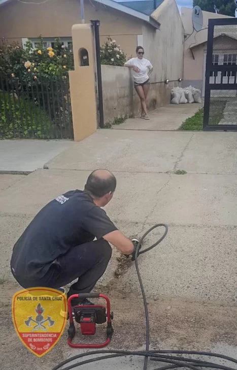  Intervención en Puerto San Julián: bomberos auxilian a un felino atrapado.