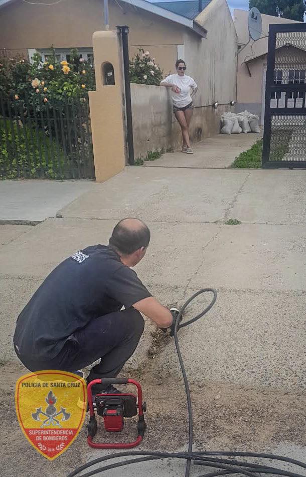  Intervención en Puerto San Julián: bomberos auxilian a un felino atrapado.