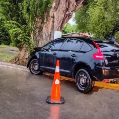 Una mujer al hospital tras perder el control del auto y chocar contra un árbol: está fuera de peligro