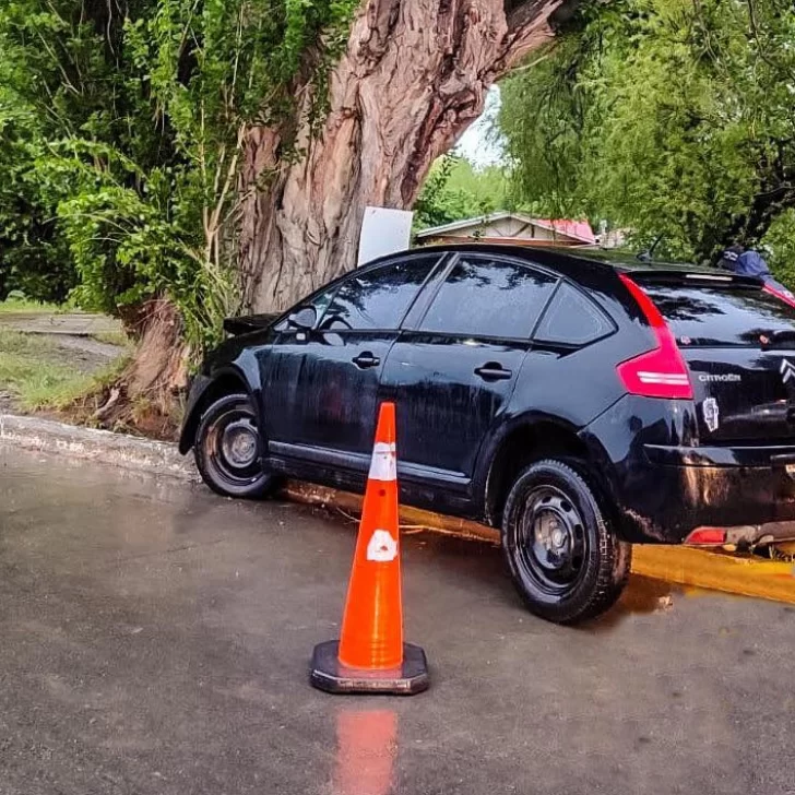 Una mujer al hospital tras perder el control del auto y chocar contra un árbol: está fuera de peligro Una mujer al hospital tras perder el control del auto y chocar contra un árbol: está fuera de peligro