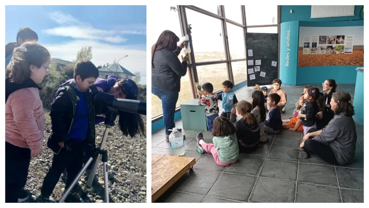 Comenzó el 13° Festival de Aves Playeras en Río Gallegos