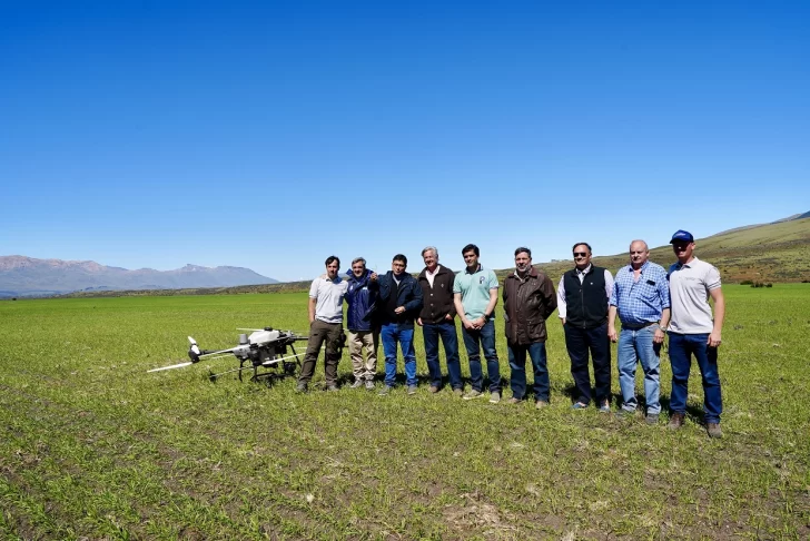 Producción de granos en Santa Cruz: buscan agregarle valor con la planta de alimento balanceado de Río Gallegos