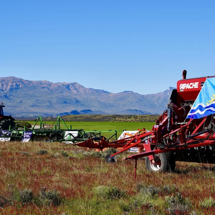 Producción de granos en Santa Cruz: buscan agregarle valor con la planta de alimento balanceado de Río Gallegos Producción de granos en Santa Cruz: buscan agregarle valor con la planta de alimento balanceado de Río Gallegos