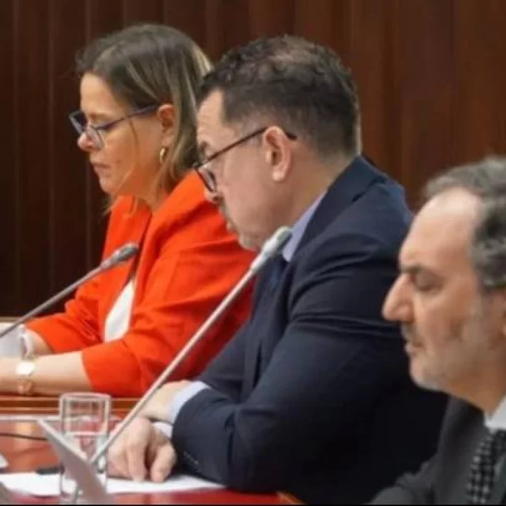 La jueza Ana María D’Alessio se excusó del juicio por el hundimiento del submarino ARA San Juan por su vínculo con un imputado