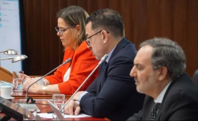 La jueza Ana María D’Alessio se excusó del juicio por el hundimiento del submarino ARA San Juan por su vínculo con un imputado