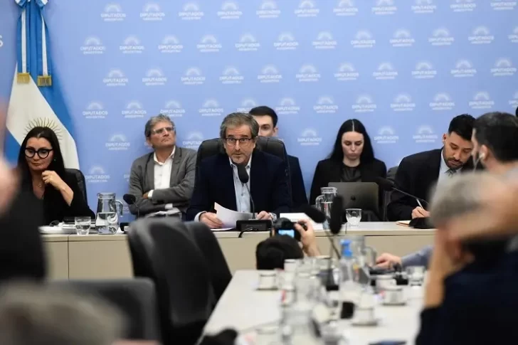  Bertie Benegas Lynch hizo valer su rol de Presidente para determinar el dictamen por mayoría.