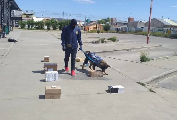 CANDY-EN-SAN-JULIAN-728x494 CANDY-EN-SAN-JULIAN-728x494