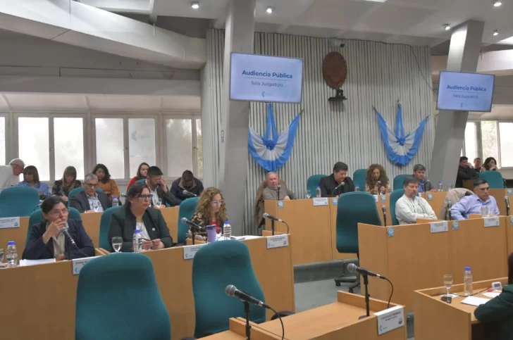 Los diputados que confirman la Sala Juzgadora, este lunes, en el marco del Juicio Político a Fernando Basanta. (Foto: José Silva/La Opinión Austral).
