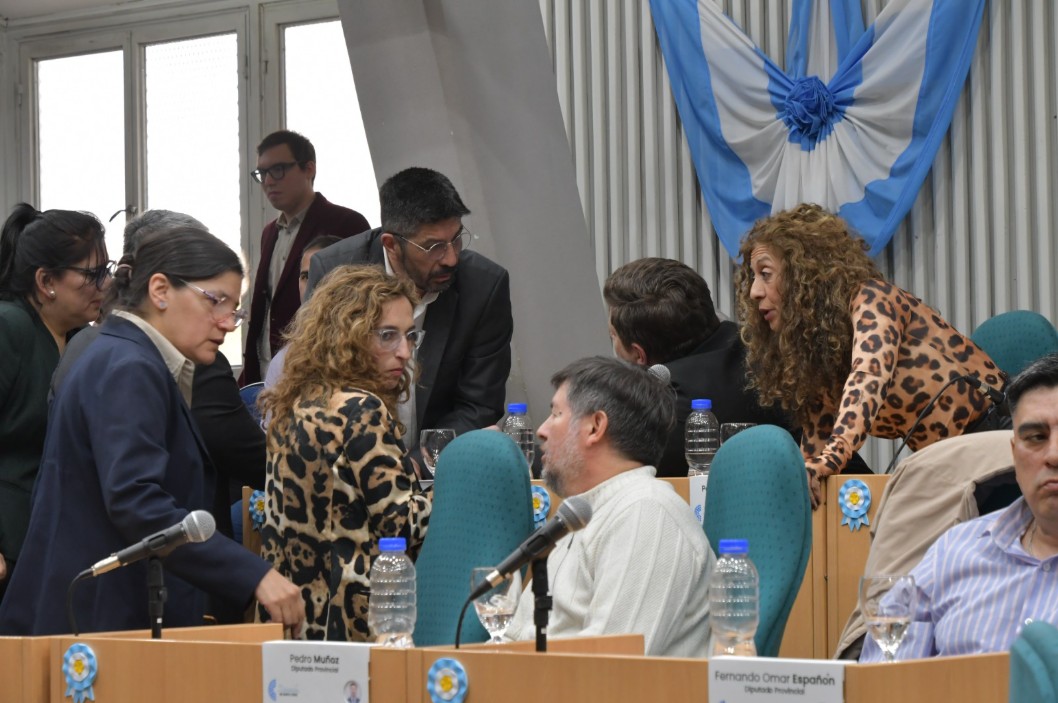  Los diputados y diputadas de los distintos bloques parlamentarios. (Foto: José Silva/La Opinión Austral).