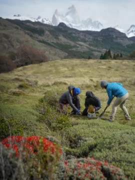 Un proyecto de El Chaltén ganó un importante financiamiento internacional Un proyecto de El Chaltén ganó un importante financiamiento internacional