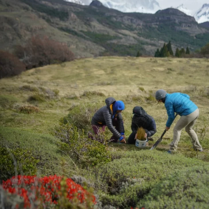 Un proyecto de El Chaltén ganó un importante financiamiento internacional Un proyecto de El Chaltén ganó un importante financiamiento internacional