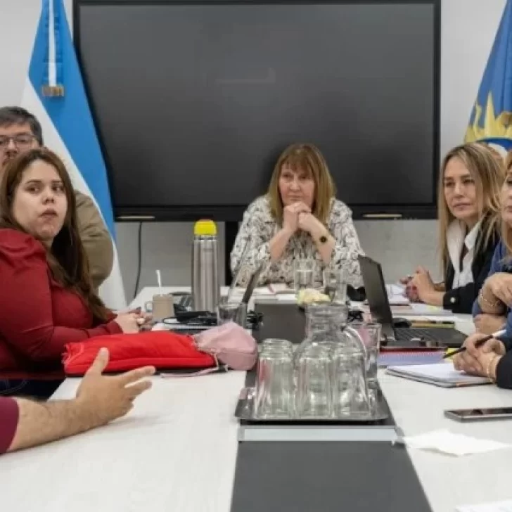 Paritaria docente en Santa Cruz: el gobierno y los gremios docentes reanudan la negociación este martes Paritaria docente en Santa Cruz: el gobierno y los gremios docentes reanudan la negociación este martes