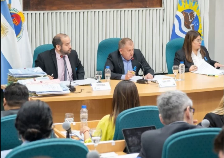  La sesión ordinaria estuvo presidida por el diputado Víctor Jara.