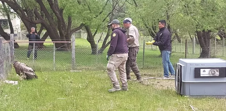  Se destacó la importancia del trabajo interinstitucional para la preservación de especies vulnerables.