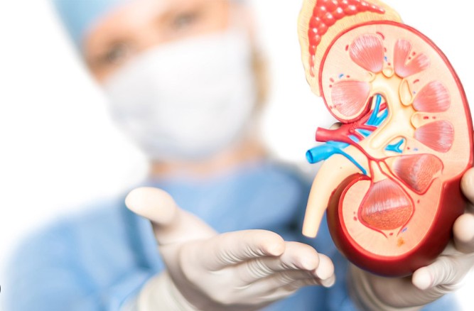 Cáncer de próstata: subrayan la diferencia entre diagnosticar temprano y de manera tardía