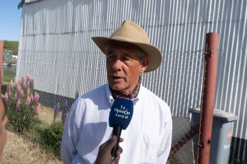 Enrique Jamieson: “Estamos preocupados de que el hidrógeno no sea una actividad sustitutiva”