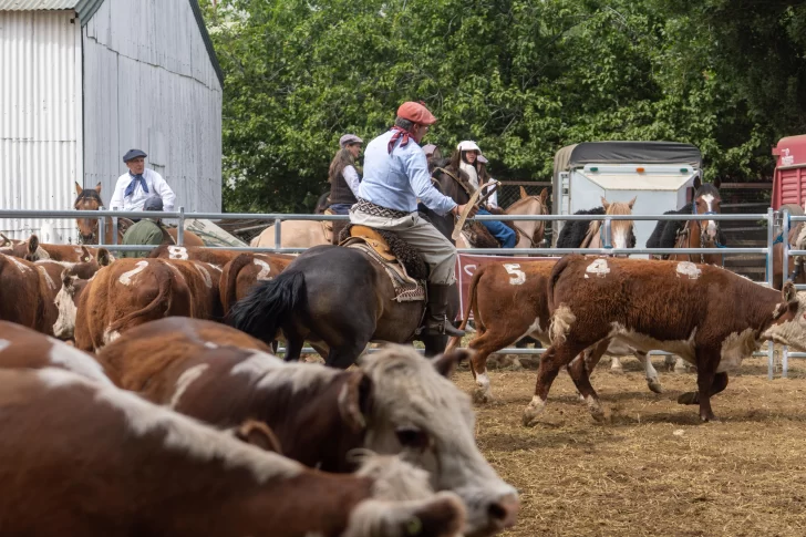 Inauguraron la 50º Exposición de Ganado Mayor de la Sociedad Rural Lago Argentino