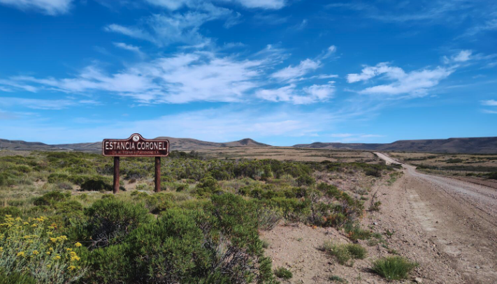 Apuntes de una estancia que apuesta la búsqueda de excelencia integrando genética y producción de elite