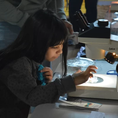 Charlas, talleres, cine y música en el II Festival “Ciencia y Saberes” de la UNPA