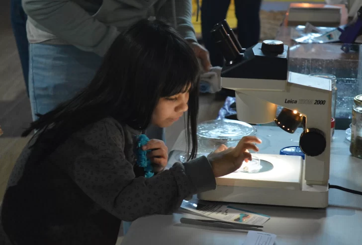 Charlas, talleres, cine y música en el II Festival “Ciencia y Saberes” de la UNPA