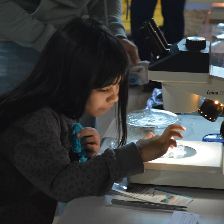 Charlas, talleres, cine y música en el II Festival “Ciencia y Saberes” de la UNPA Charlas, talleres, cine y música en el II Festival “Ciencia y Saberes” de la UNPA