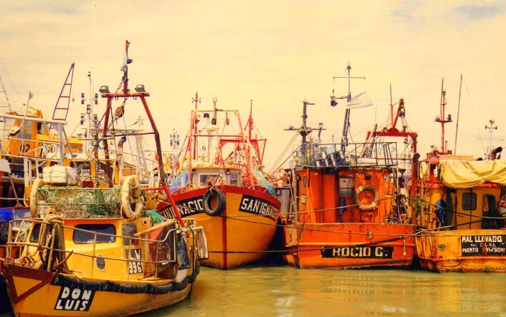  La flota amarilla podría sumar dos nuevos permisos si se aprueba la ley enviada por el Gobierno provincial.