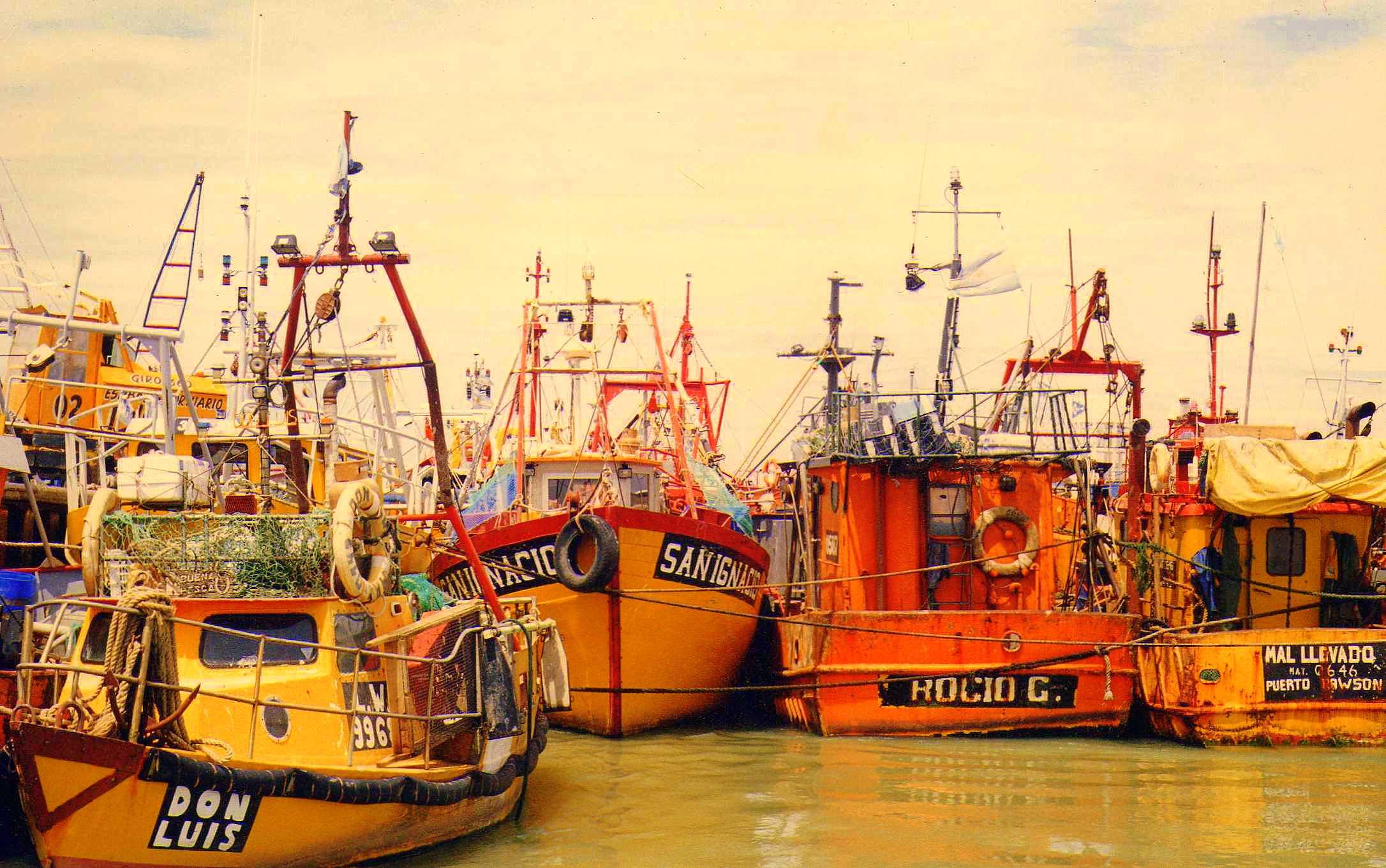  La flota amarilla podría sumar dos nuevos permisos si se aprueba la ley enviada por el Gobierno provincial.