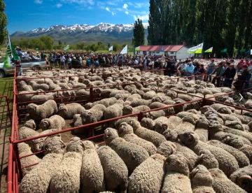 Apuntes de una estancia que apuesta la búsqueda de excelencia integrando genética y producción de elite
