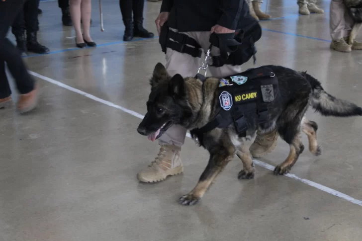 JUBILACION-DE-CANDY-1-728x485