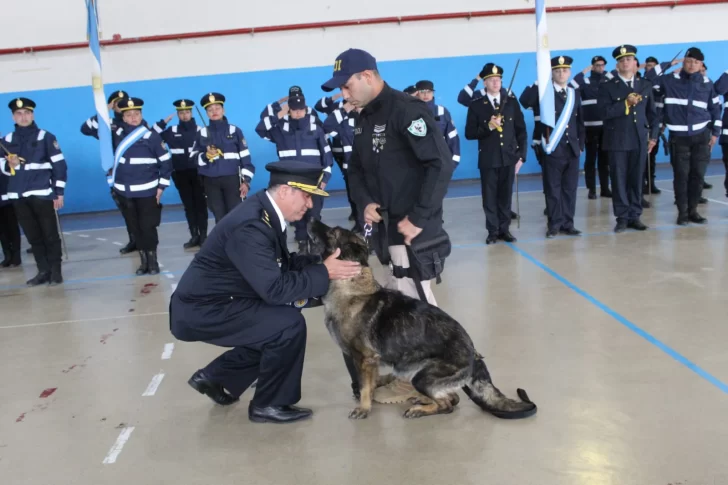 JUBILACION-DE-CANDY-2-728x485