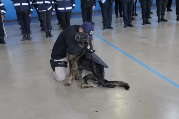 “Candy”, el can especializado en detección de narcóticos, se “jubiló”: “Se fue como se merecía, con honores” “Candy”, el can especializado en detección de narcóticos, se “jubiló”: “Se fue como se merecía, con honores”