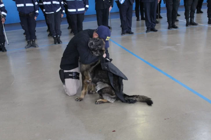 JUBILACION-DE-CANDY-3-728x485