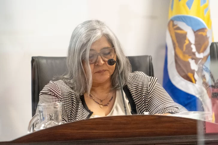  María Alejandra Vila, presidenta del juicio. FOTO: LEANDRO FRANCO/ LA OPINIÓN AUSTRAL