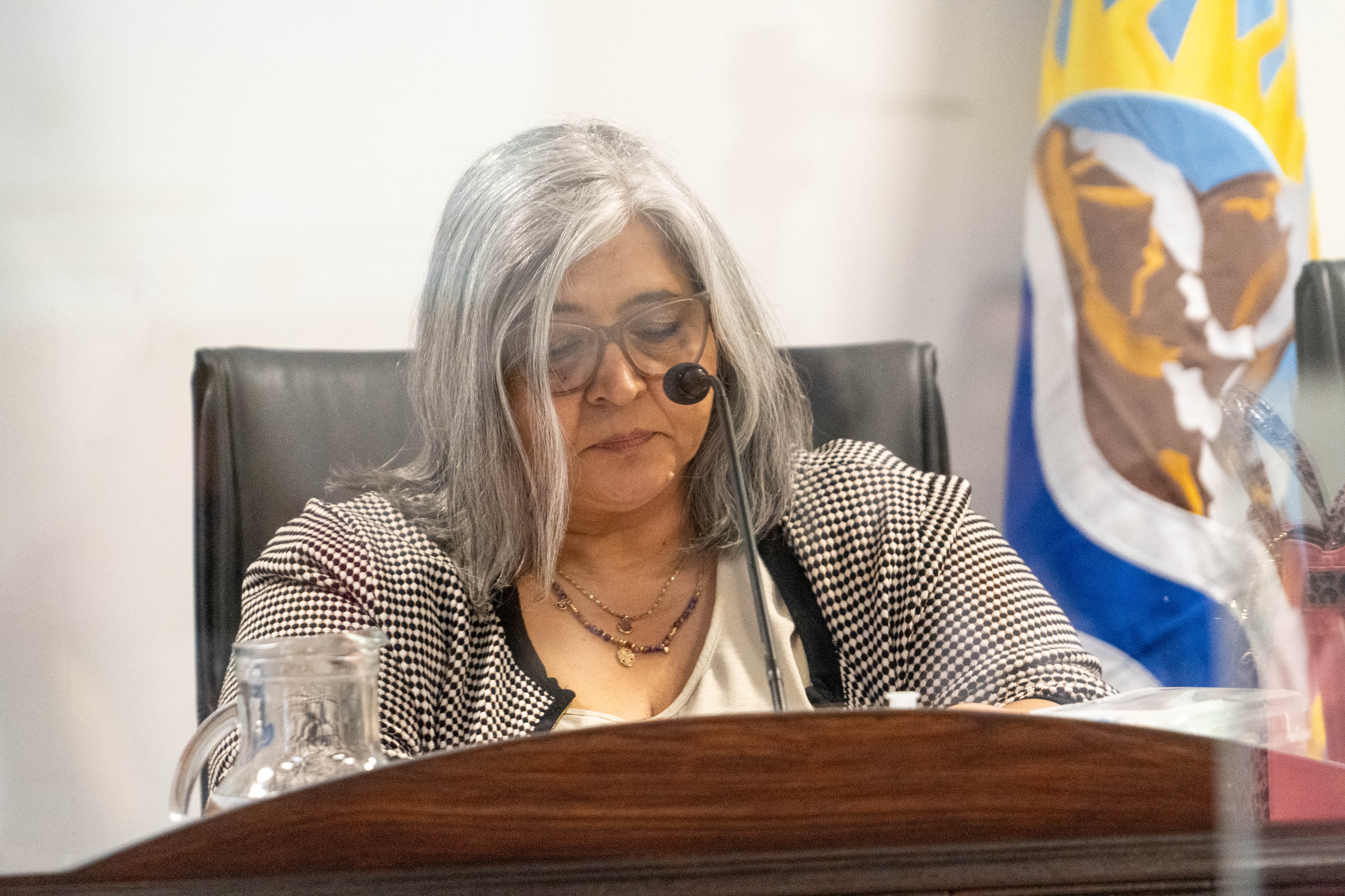  María Alejandra Vila, presidenta del juicio. FOTO: LEANDRO FRANCO/ LA OPINIÓN AUSTRAL