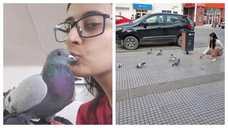 La historia de la joven de Río Gallegos que rescata palomas