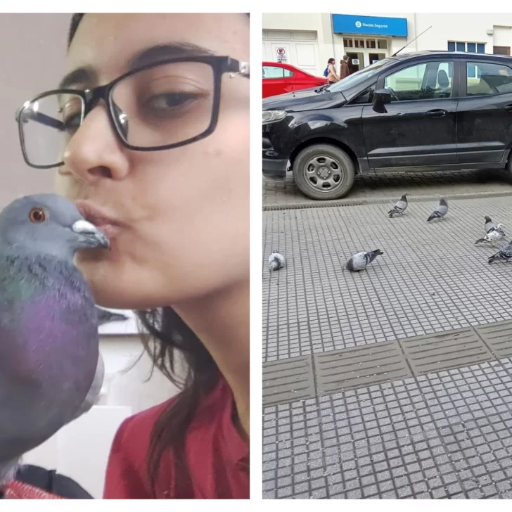 La historia de la joven de Río Gallegos que rescata palomas La historia de la joven de Río Gallegos que rescata palomas