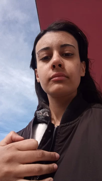  Paloma salvaguardando una ave.