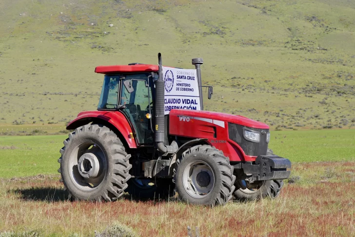 Producción de granos en Santa Cruz: buscan agregarle valor con la planta de alimento balanceado de Río Gallegos