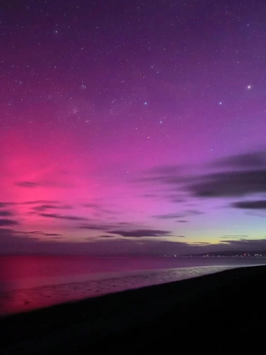 WhatsApp-Image-2025-11-12-at-13.28.47-2-546x728 WhatsApp-Image-2025-11-12-at-13.28.47-2-546x728