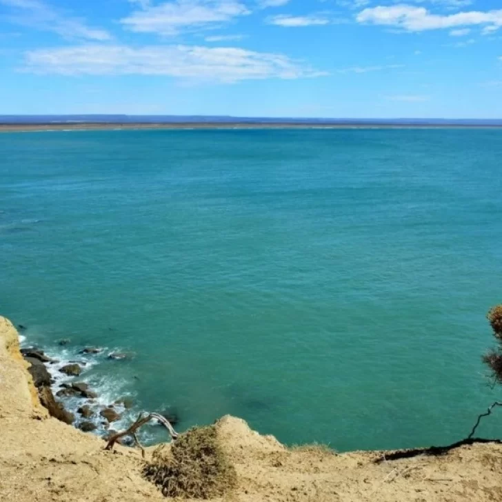 Comprobado: el cuerpo hallado en la costa de Santa Cruz no es de ninguno de los jubilados Comprobado: el cuerpo hallado en la costa de Santa Cruz no es de ninguno de los jubilados