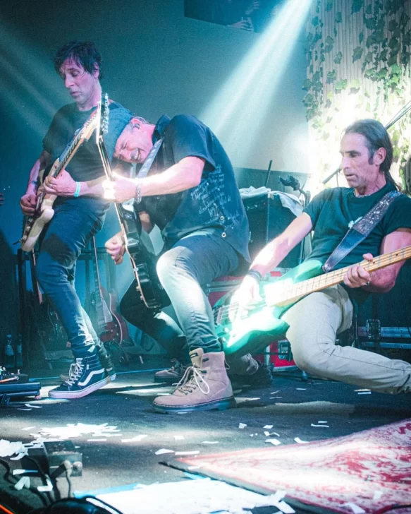 bulldog-banda-punk-4-583x728