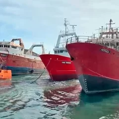 Chubut: Mientras sigue la tensión por los permisos pesqueros a Red Chambler, Profand reclama los barcos de la ex Alpesca