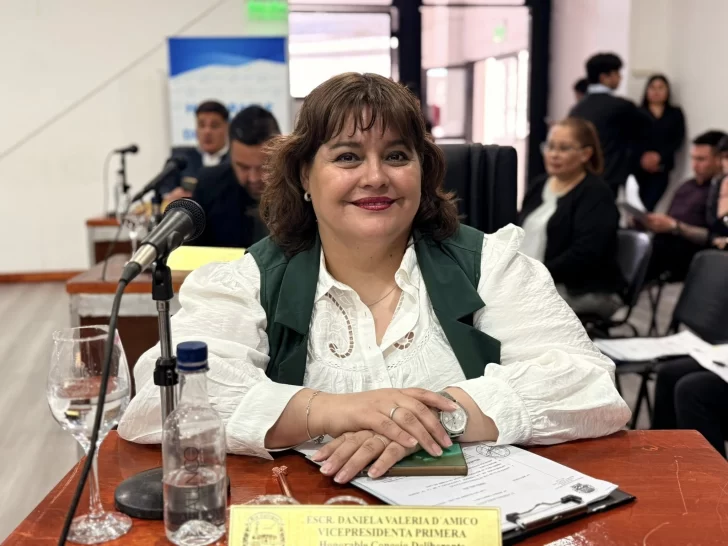 Daniela D’Amico, presidenta del Concejo Deliberante: “La idea es aprobar el presupuesto antes de fin de año”
