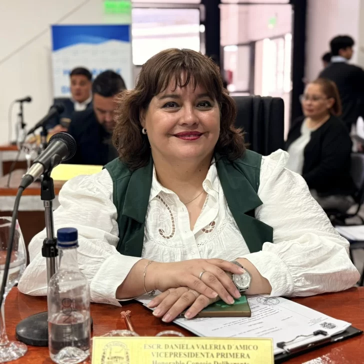 Daniela D’Amico, presidenta del Concejo Deliberante: “La idea es aprobar el presupuesto antes de fin de año” Daniela D’Amico, presidenta del Concejo Deliberante: “La idea es aprobar el presupuesto antes de fin de año”