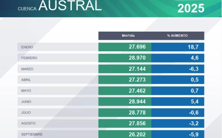  Producción de gas convencional en Cuenca Austral. FUENTE: IAPG.