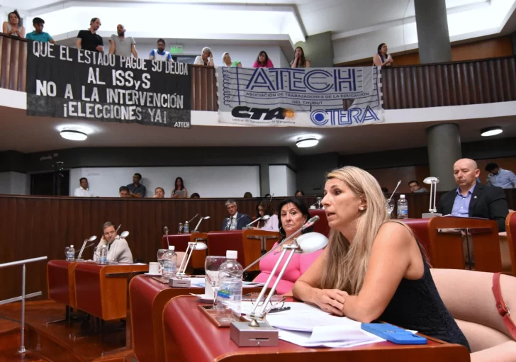  El proyecto ya está en comisiones de la Legislatura de Chubut. Jacqueline Caminoa, presidenta de la Comisión de Presupuesto y Hacienda.